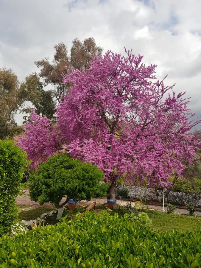 Hotel Casa Grande Constantina Luaran gambar